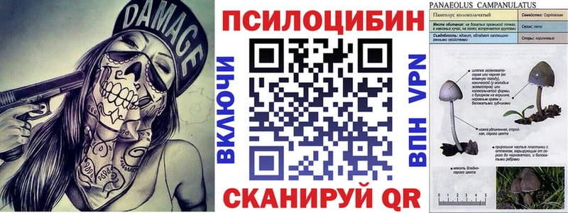 Псилоцибиновые грибы GOLDEN TEACHER Бокситогорск